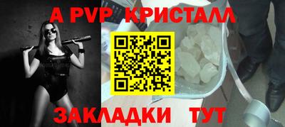 стафф Дубна