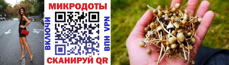 Псилоцибиновые грибы MAGIC MUSHROOMS  Казань 