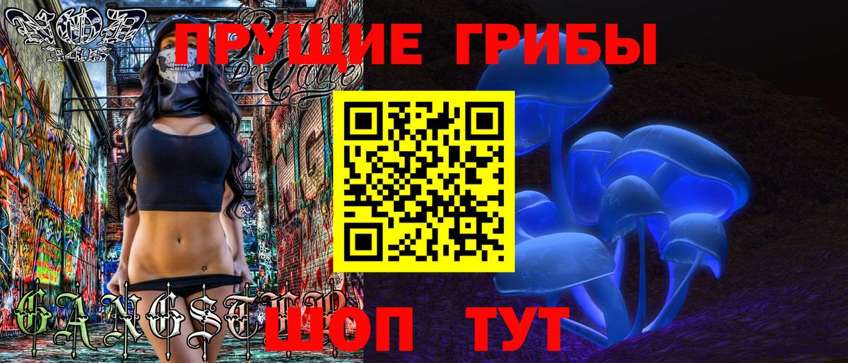 Псилоцибиновые грибы мухоморы Казань